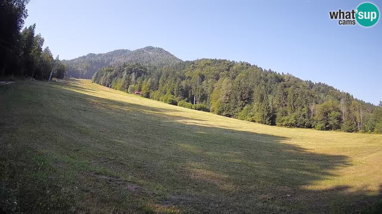 Esquí Kranjska Gora | Brsnina