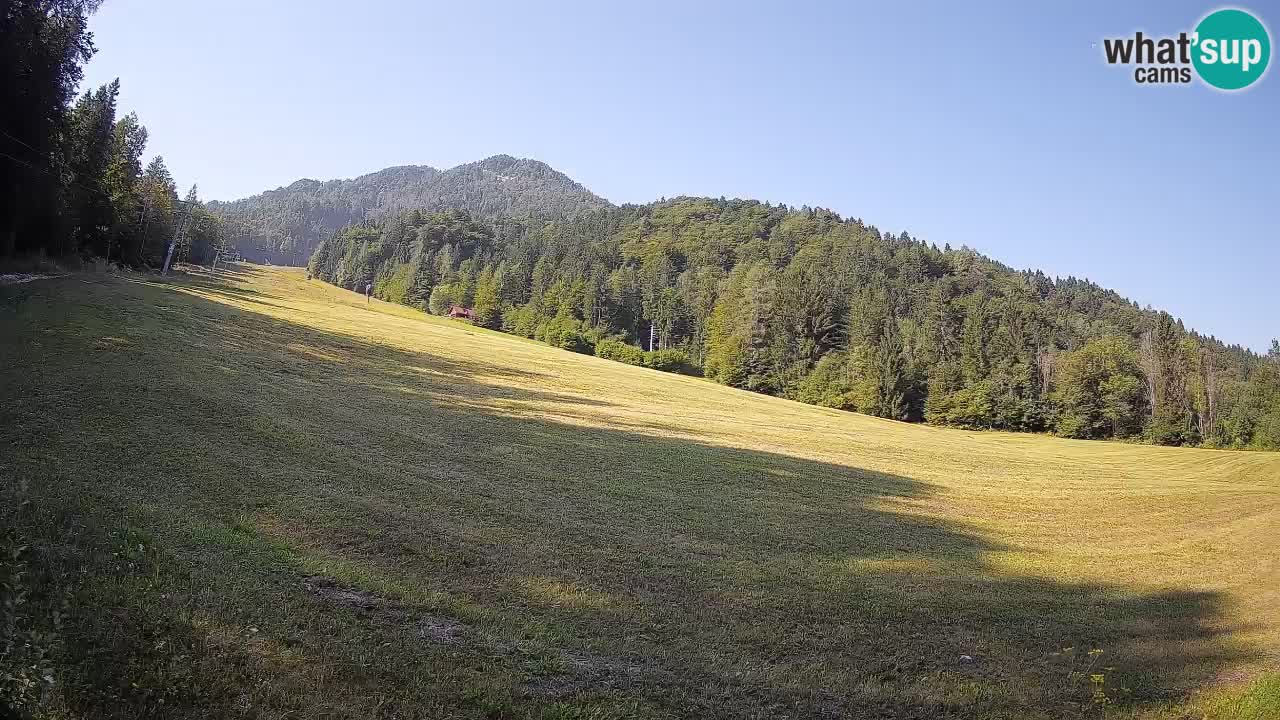 Kranjska Gora Station de ski | Brsnina