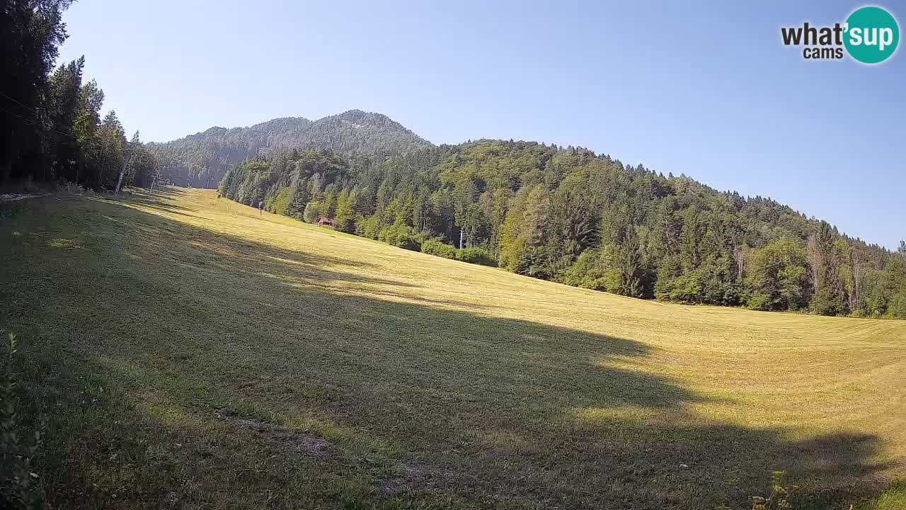 Kranjska Gora Station de ski | Brsnina