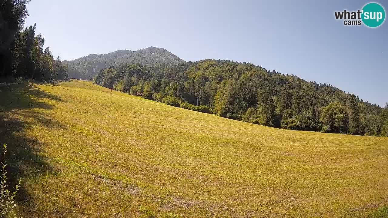 RTC Skigebiet Kranjska Gora | Brsnina
