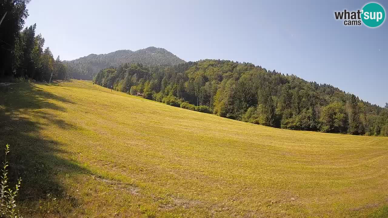 Esquí Kranjska Gora | Brsnina