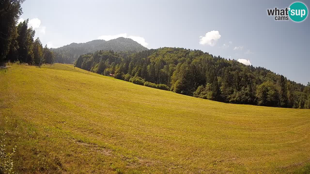Ski Kranjska Gora | Brsnina