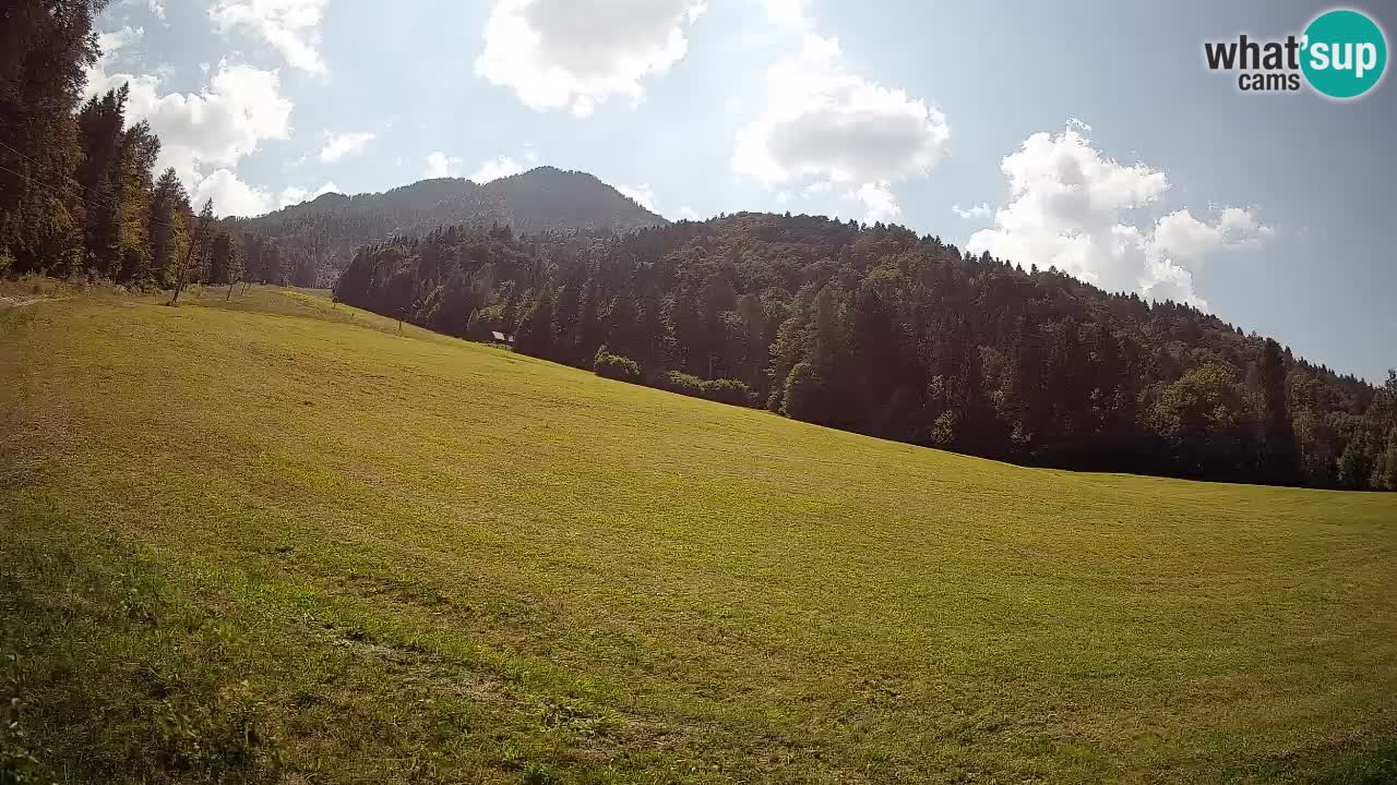 Ski Kranjska Gora | Brsnina