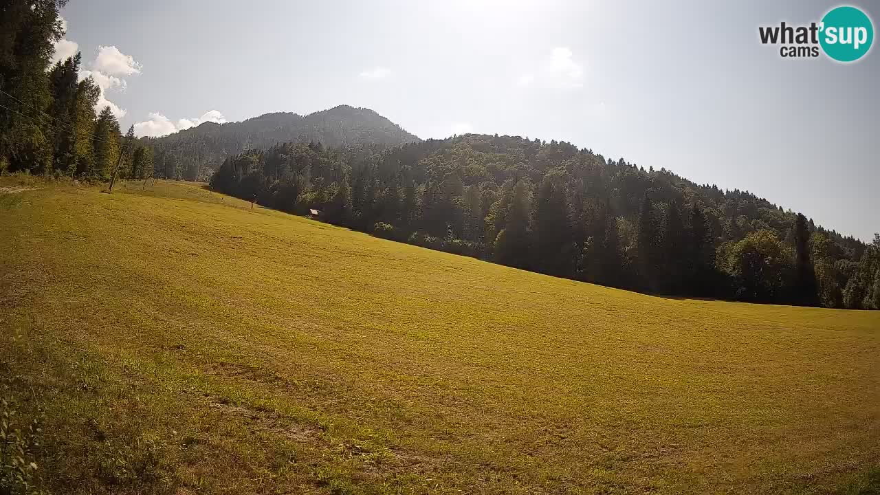 Comprensorio sciistico Kranjska Gora | Brsnina