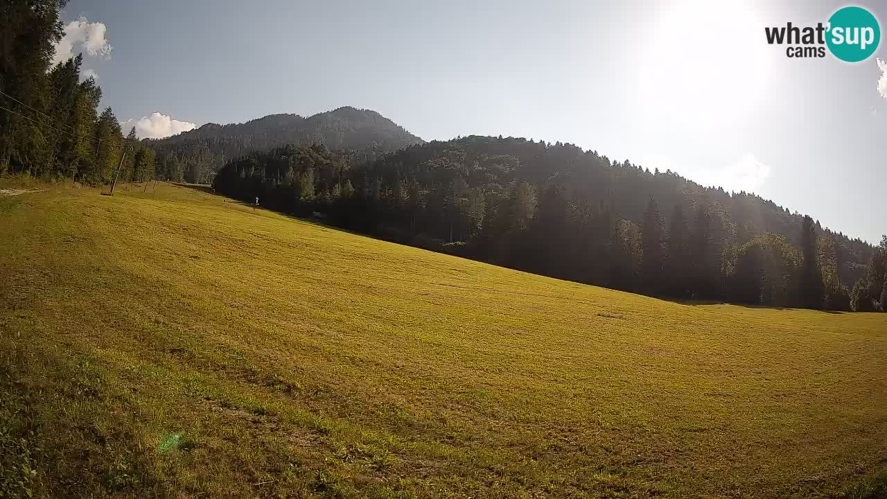 RTC Skigebiet Kranjska Gora | Brsnina