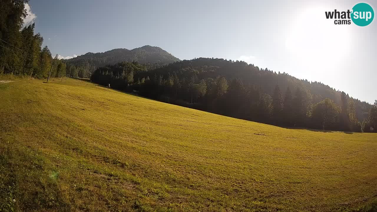 RTC Skigebiet Kranjska Gora | Brsnina