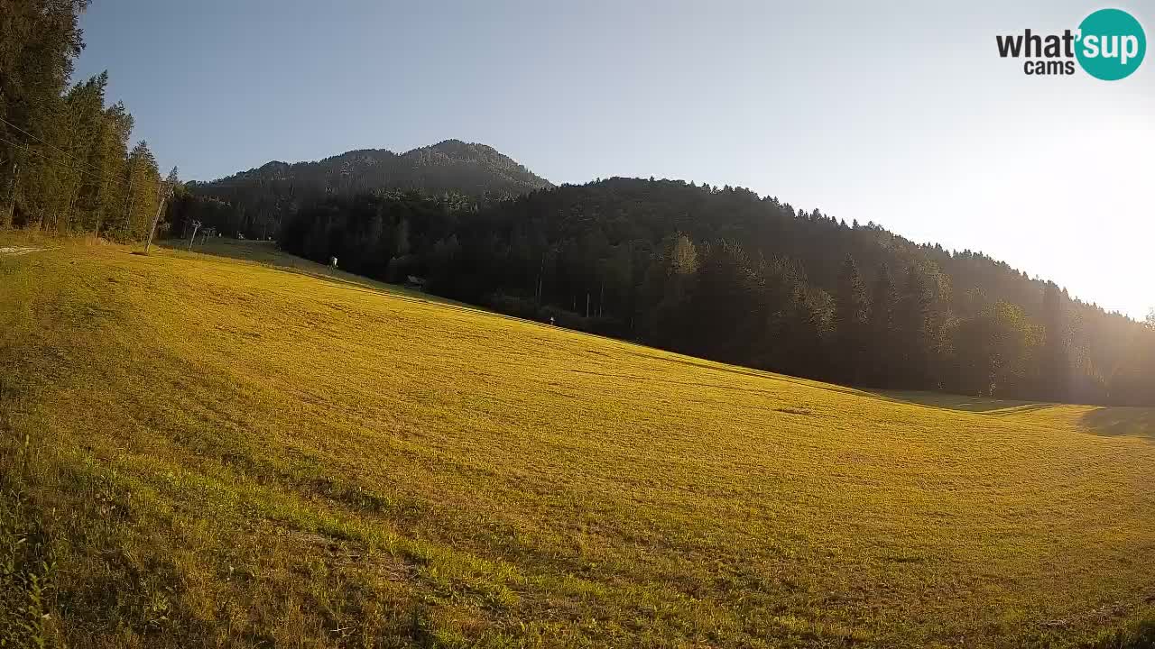 Comprensorio sciistico Kranjska Gora | Brsnina