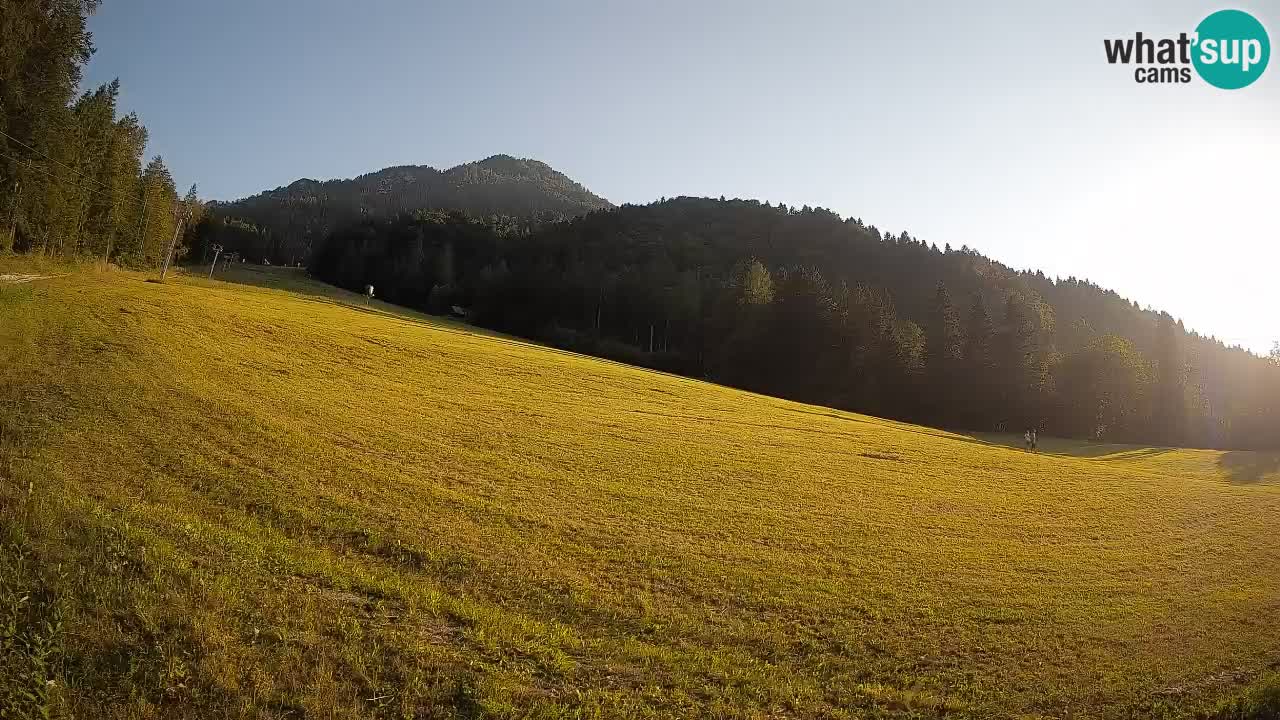 Kranjska Gora Station de ski | Brsnina