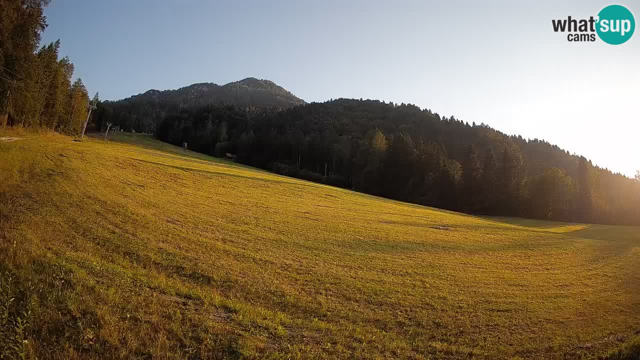 Comprensorio sciistico Kranjska Gora | Brsnina
