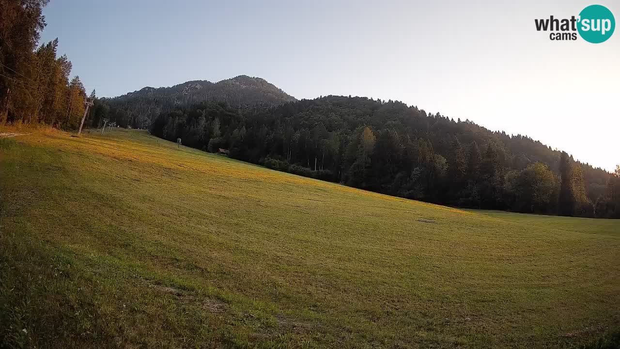 Comprensorio sciistico Kranjska Gora | Brsnina