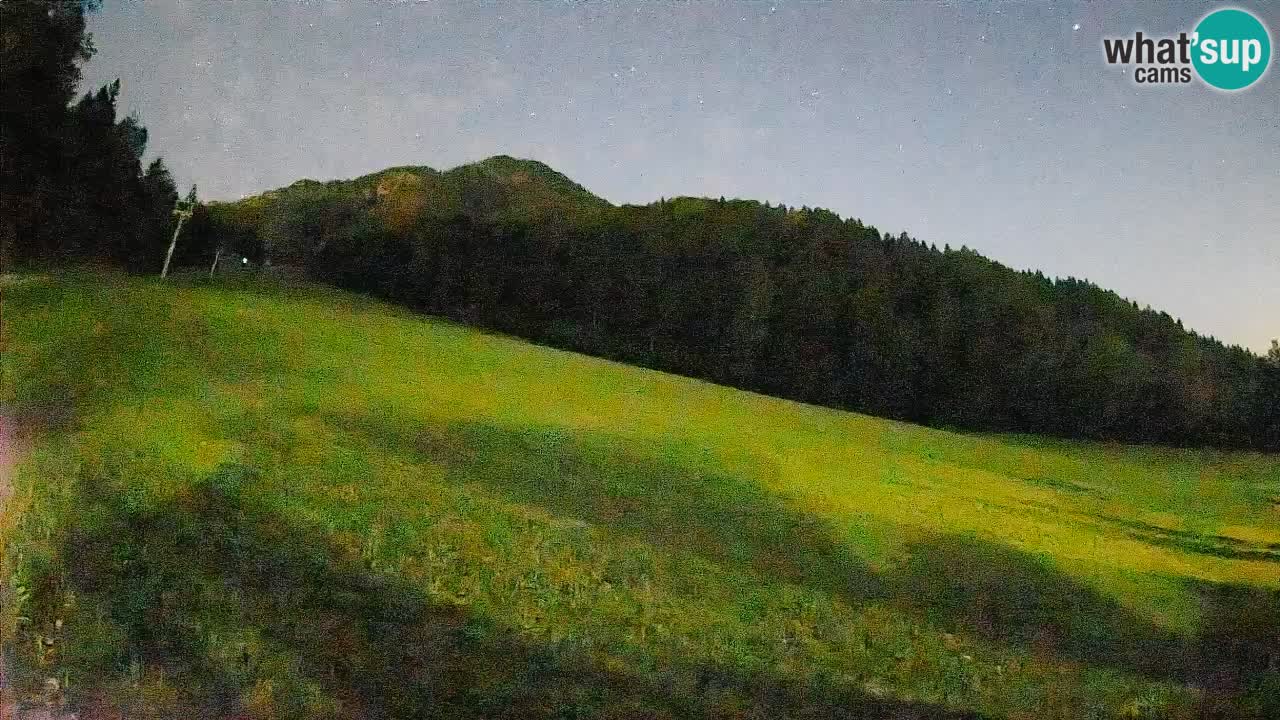 Kranjska Gora Station de ski | Brsnina