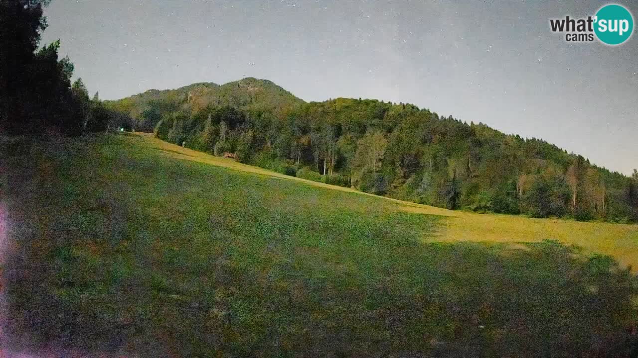 Kranjska Gora Station de ski | Brsnina