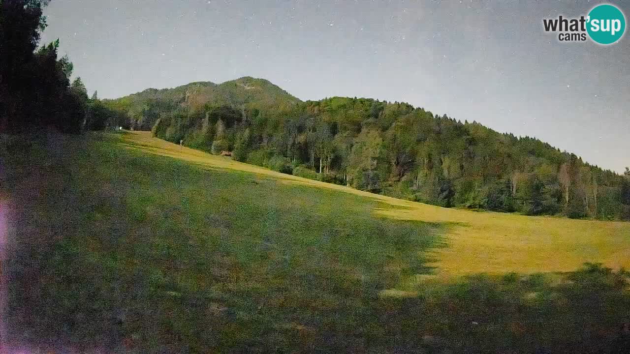 RTC Kranjska Gora | Brsnina