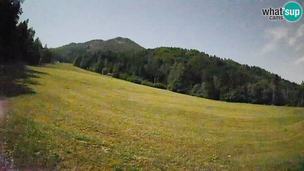 RTC Skigebiet Kranjska Gora | Brsnina
