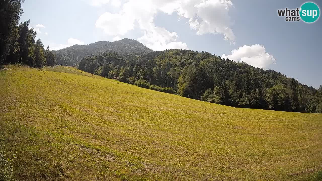 RTC Kranjska Gora | Brsnina