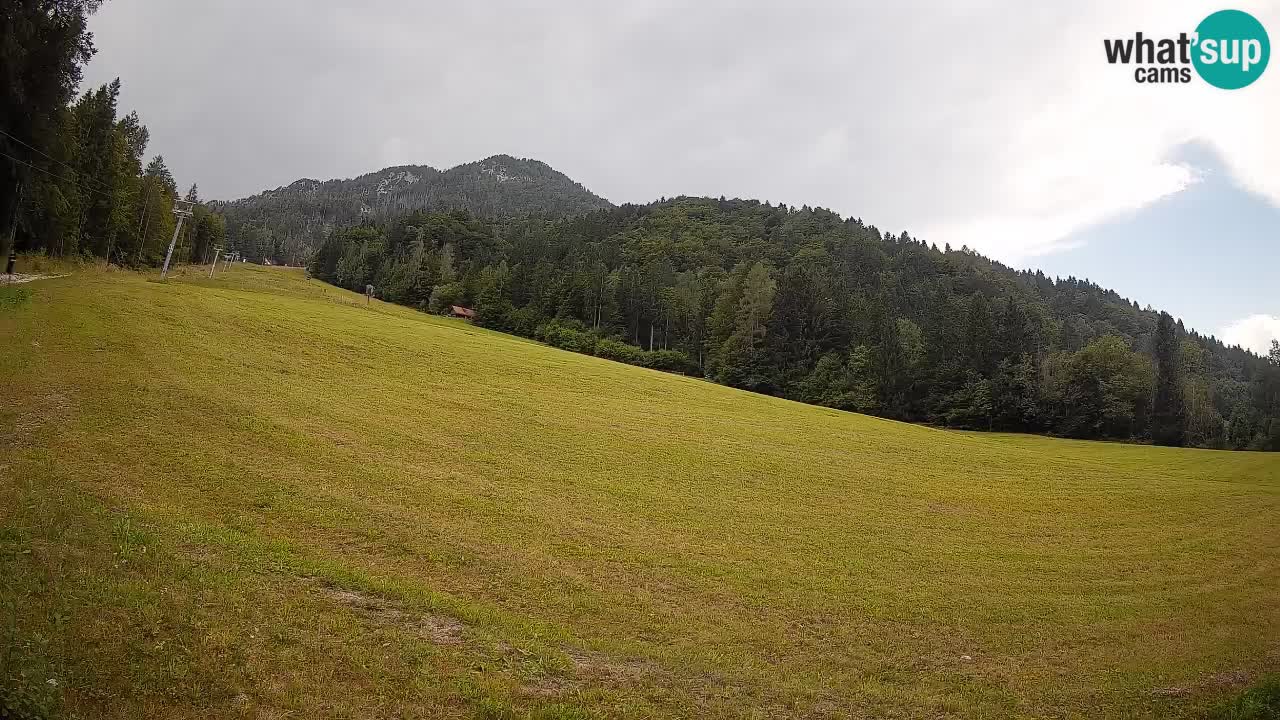 Ski Kranjska Gora | Brsnina