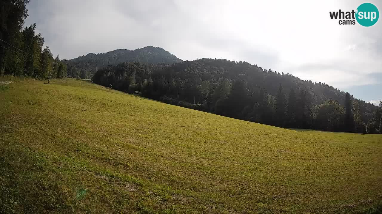 Kranjska Gora SKIJANJE | Brsnina