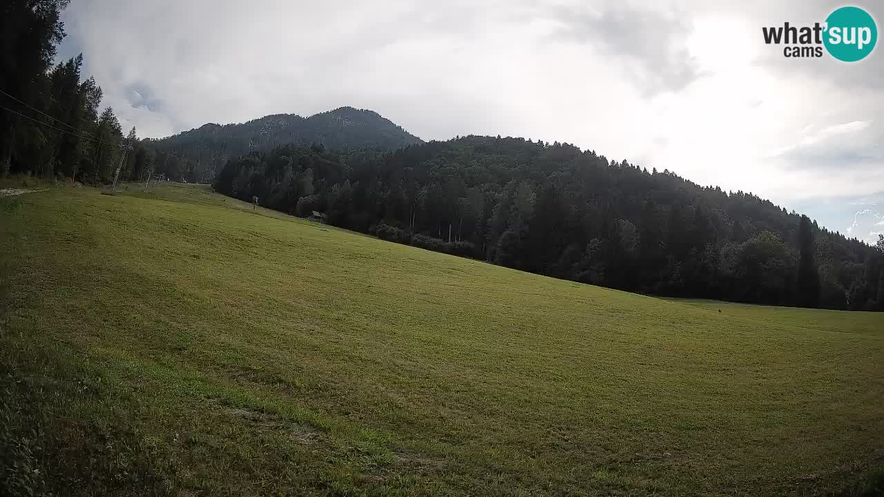 Ski Kranjska Gora | Brsnina