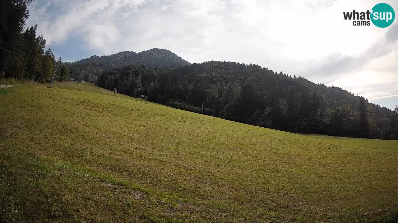 Kranjska Gora Station de ski | Brsnina