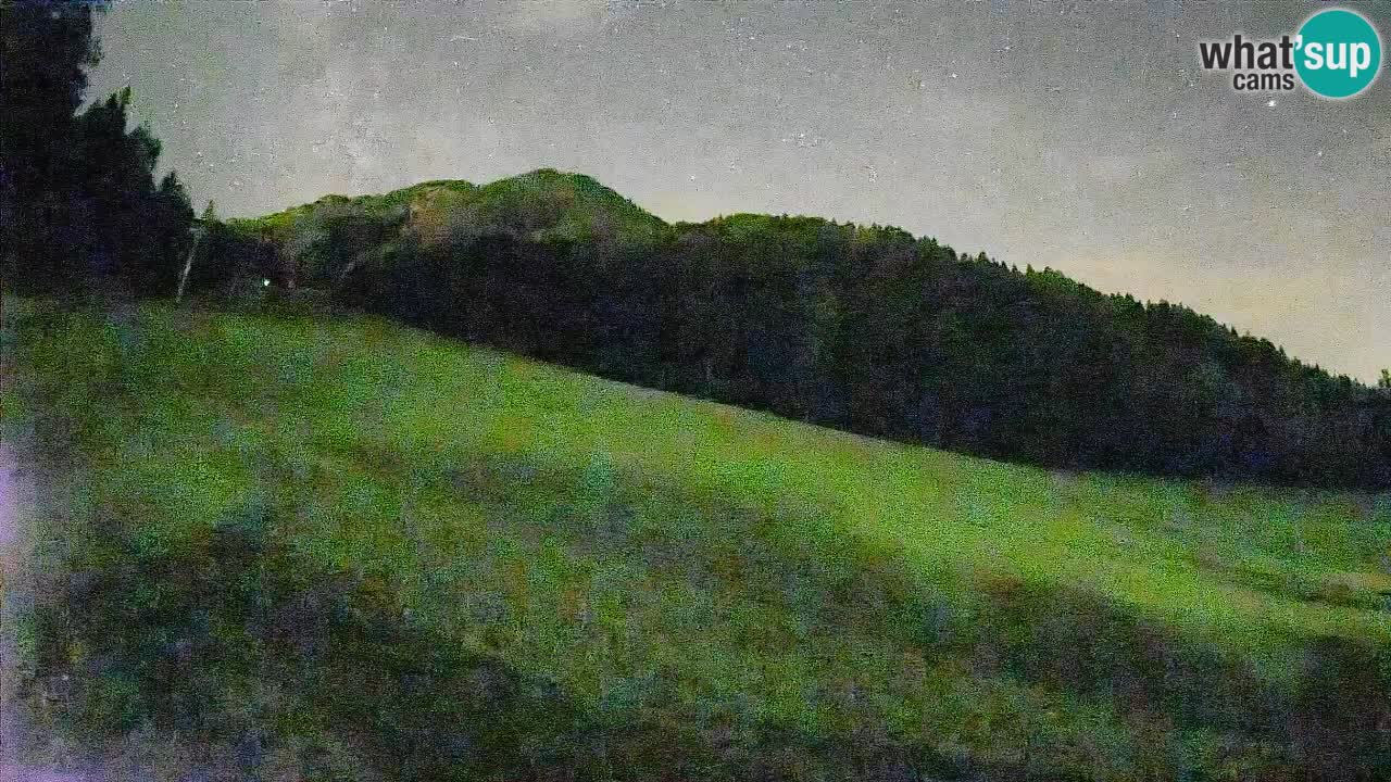RTC Skigebiet Kranjska Gora | Brsnina