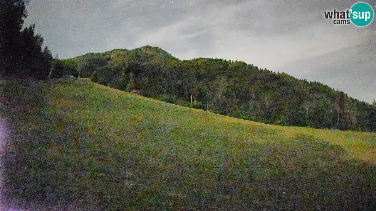 RTC Skigebiet Kranjska Gora | Brsnina