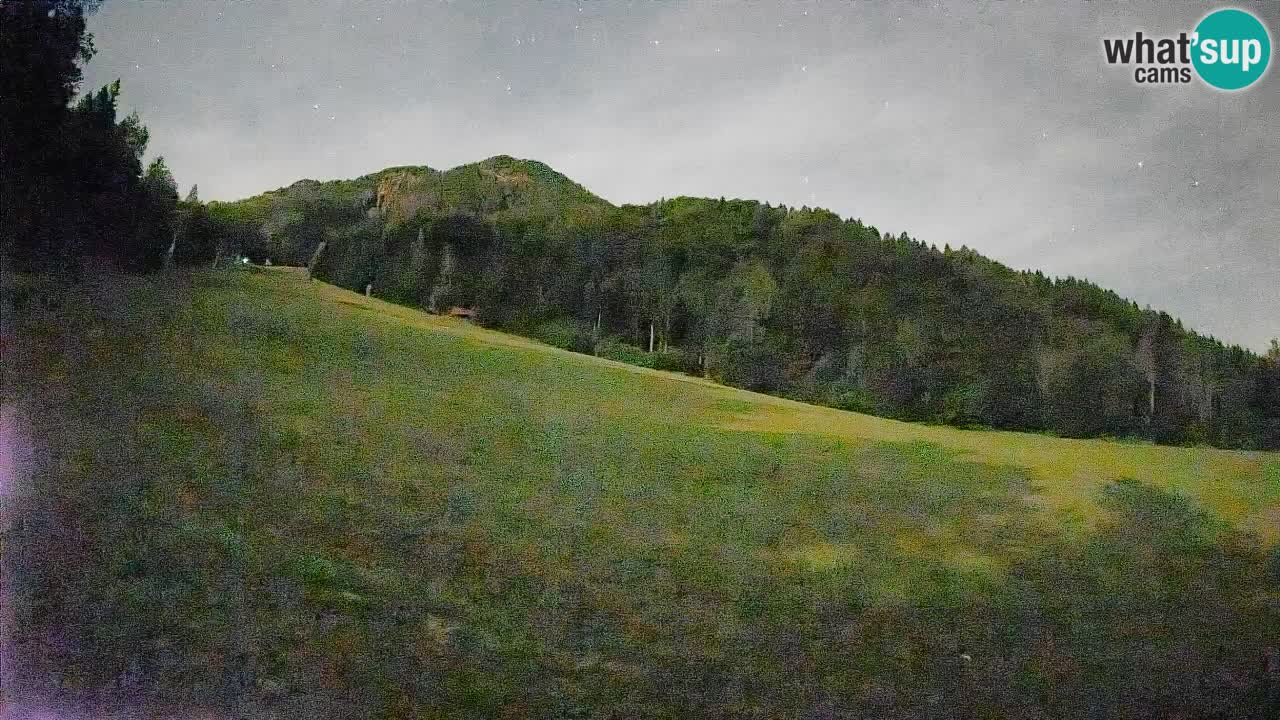 Ski Kranjska Gora | Brsnina