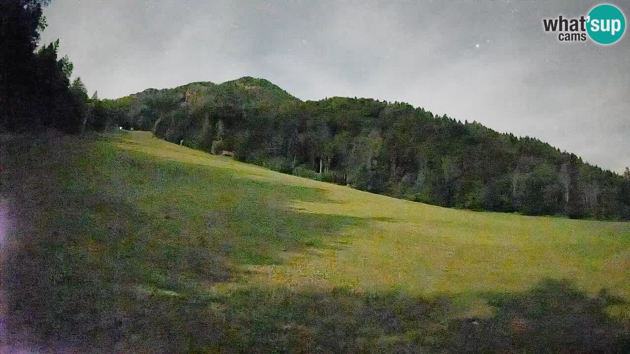Kranjska Gora SKIJANJE | Brsnina