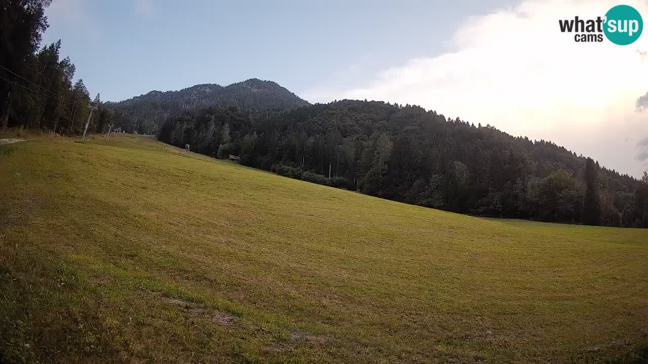 Comprensorio sciistico Kranjska Gora | Brsnina