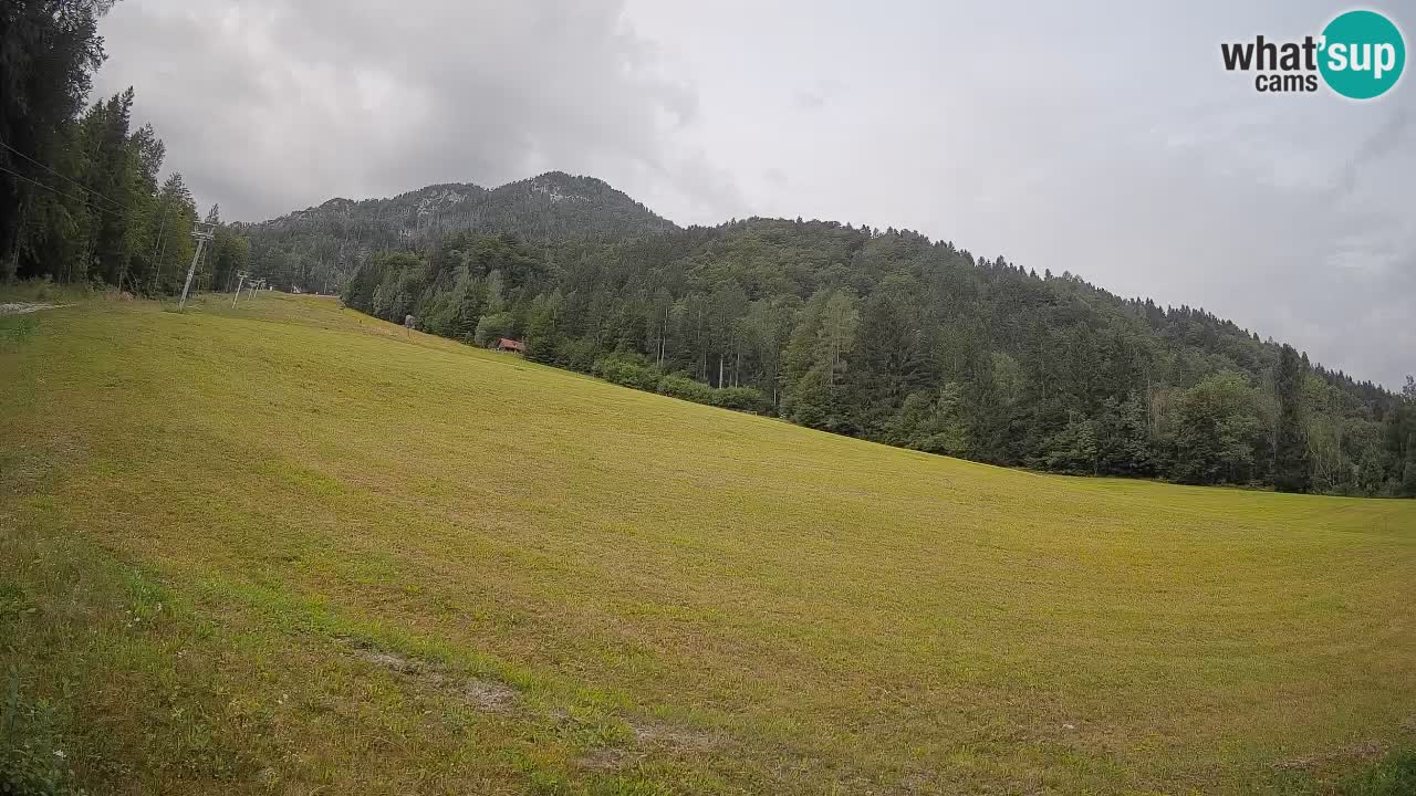 Ski Kranjska Gora | Brsnina