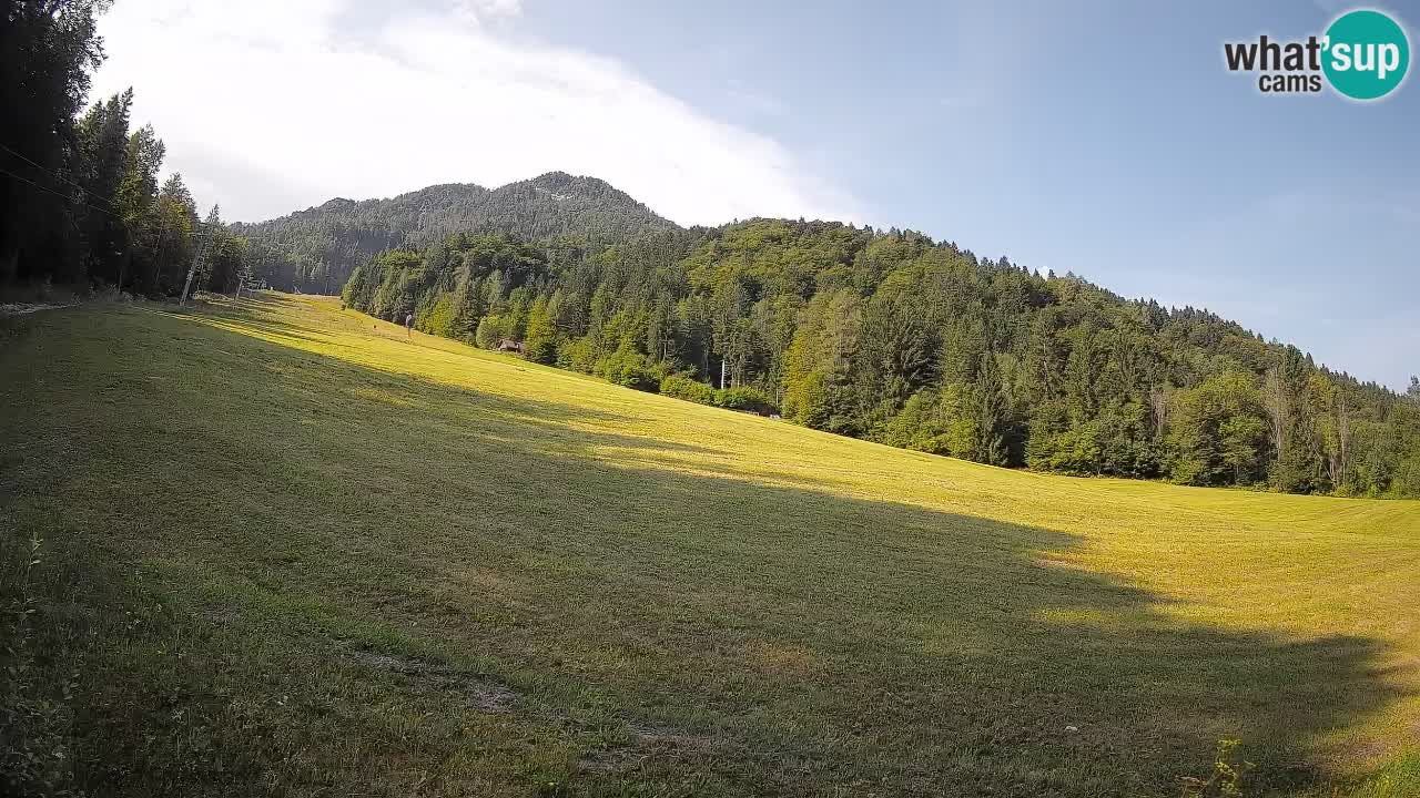 RTC Skigebiet Kranjska Gora | Brsnina