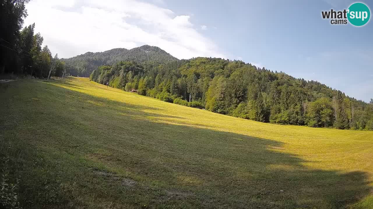 RTC Skigebiet Kranjska Gora | Brsnina