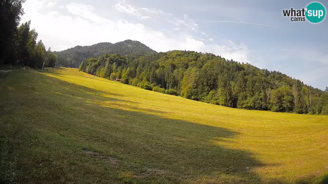 Kranjska Gora Station de ski | Brsnina