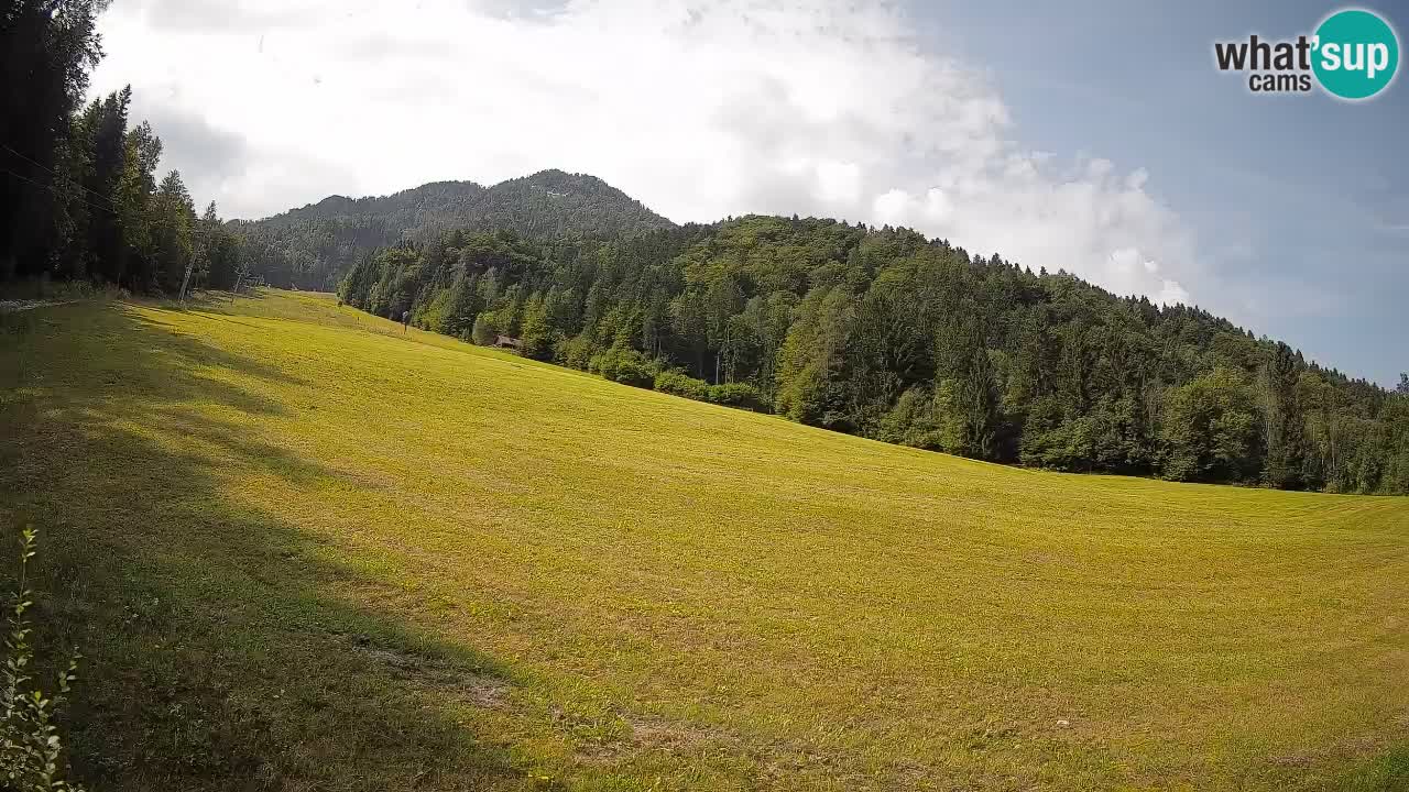 Kranjska Gora SKIJANJE | Brsnina