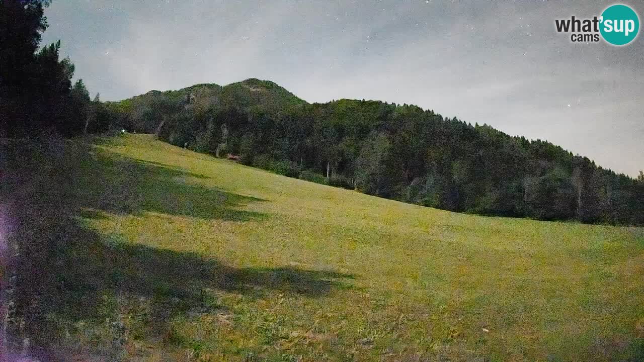 Kranjska Gora SKIJANJE | Brsnina