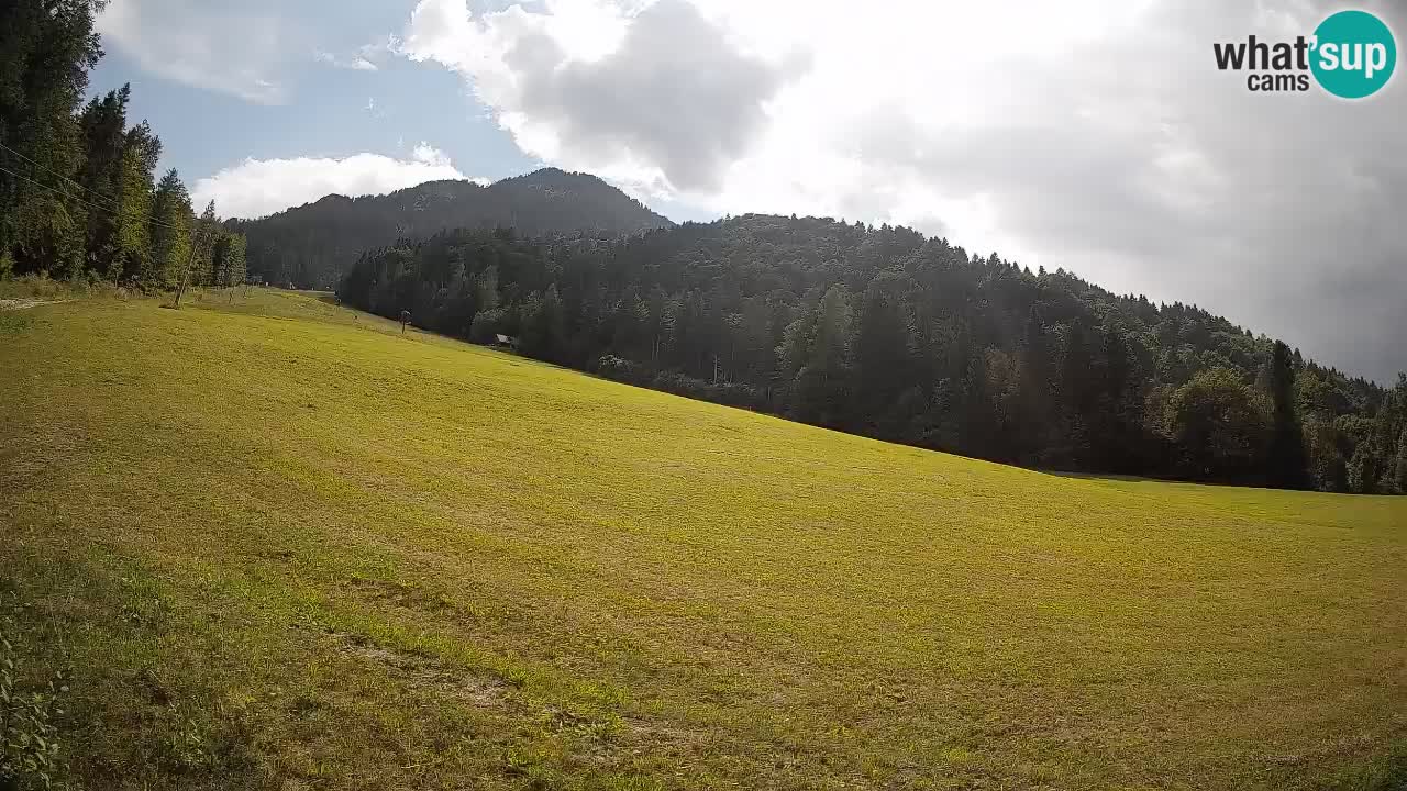Ski Kranjska Gora | Brsnina