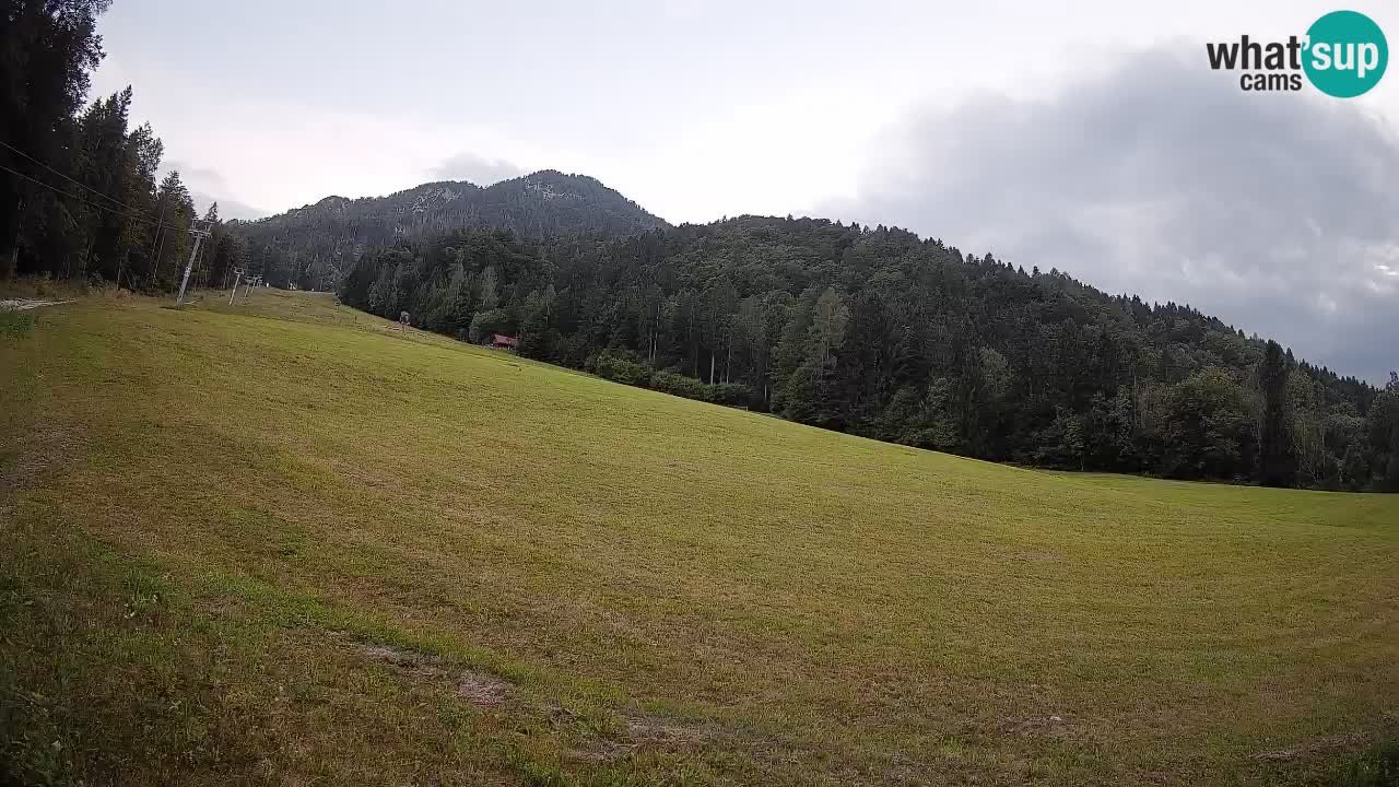 Kranjska Gora Station de ski | Brsnina