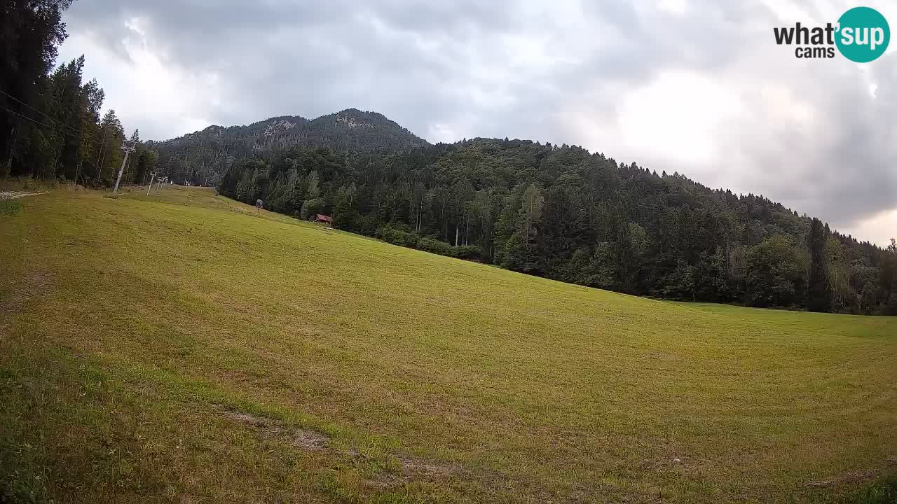 Kranjska Gora Station de ski | Brsnina