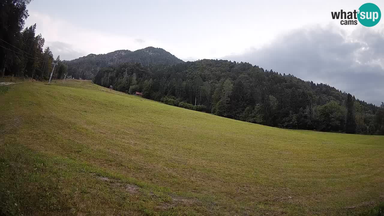 Kranjska Gora Station de ski | Brsnina