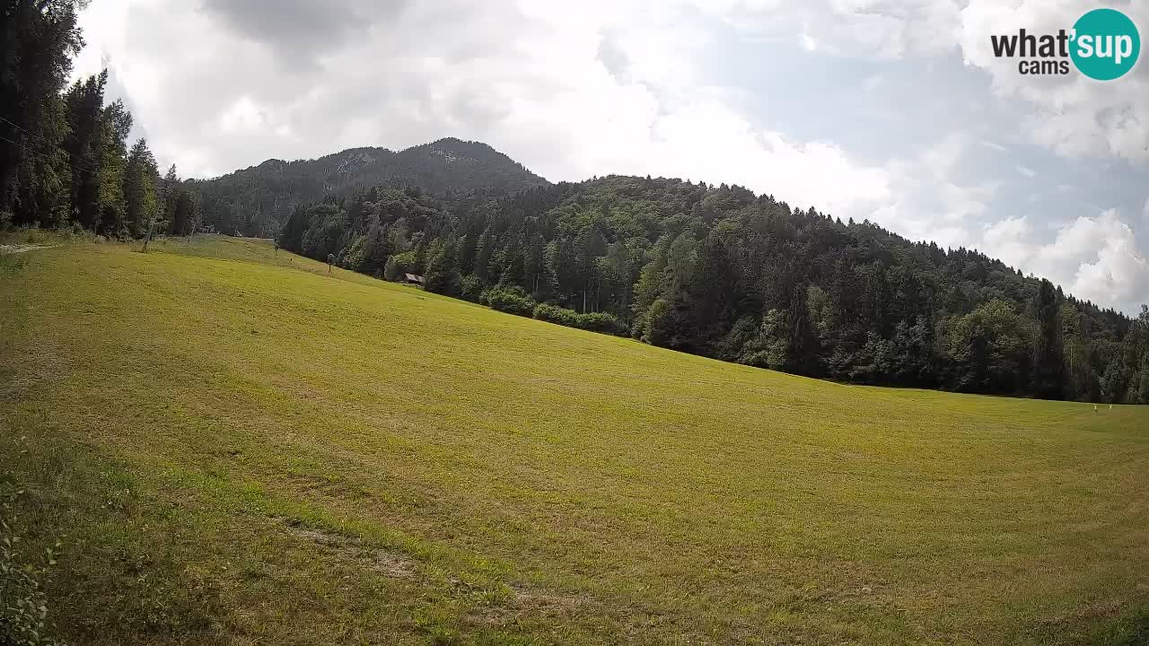RTC Skigebiet Kranjska Gora | Brsnina