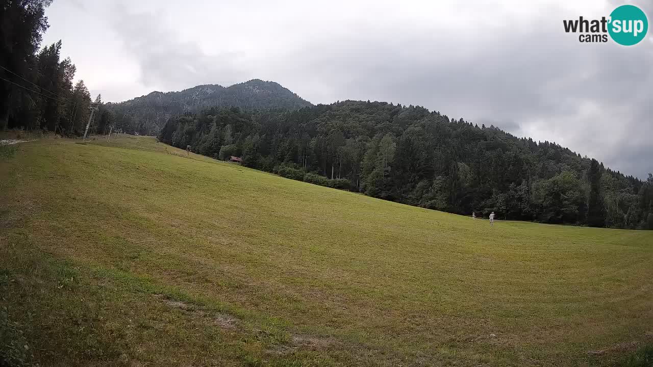 RTC Skigebiet Kranjska Gora | Brsnina