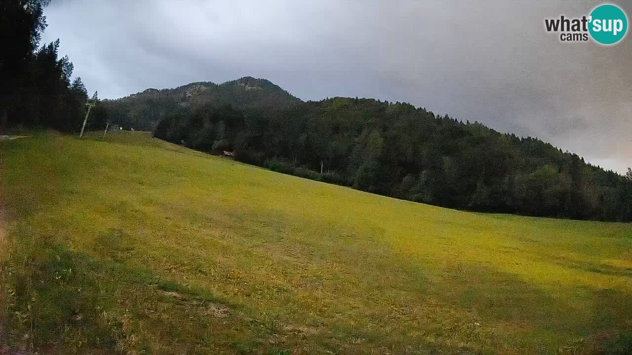 Comprensorio sciistico Kranjska Gora | Brsnina