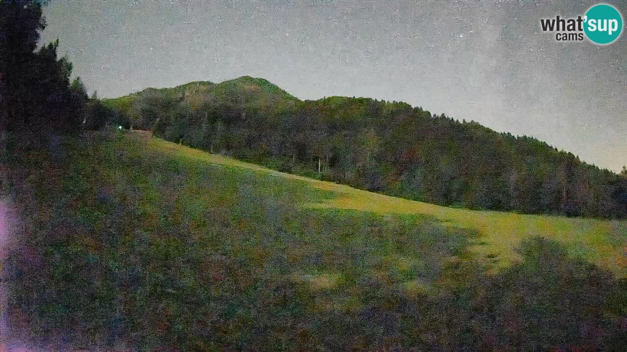 Ski Kranjska Gora | Brsnina