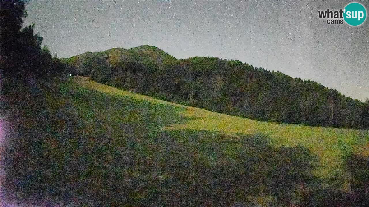 RTC Kranjska Gora | Brsnina