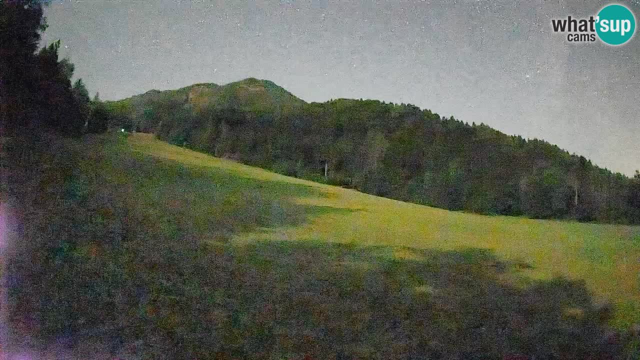 Kranjska Gora Station de ski | Brsnina
