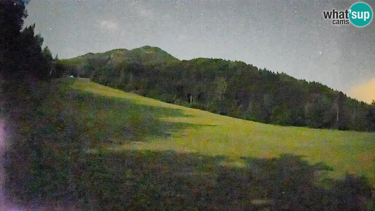 RTC Skigebiet Kranjska Gora | Brsnina