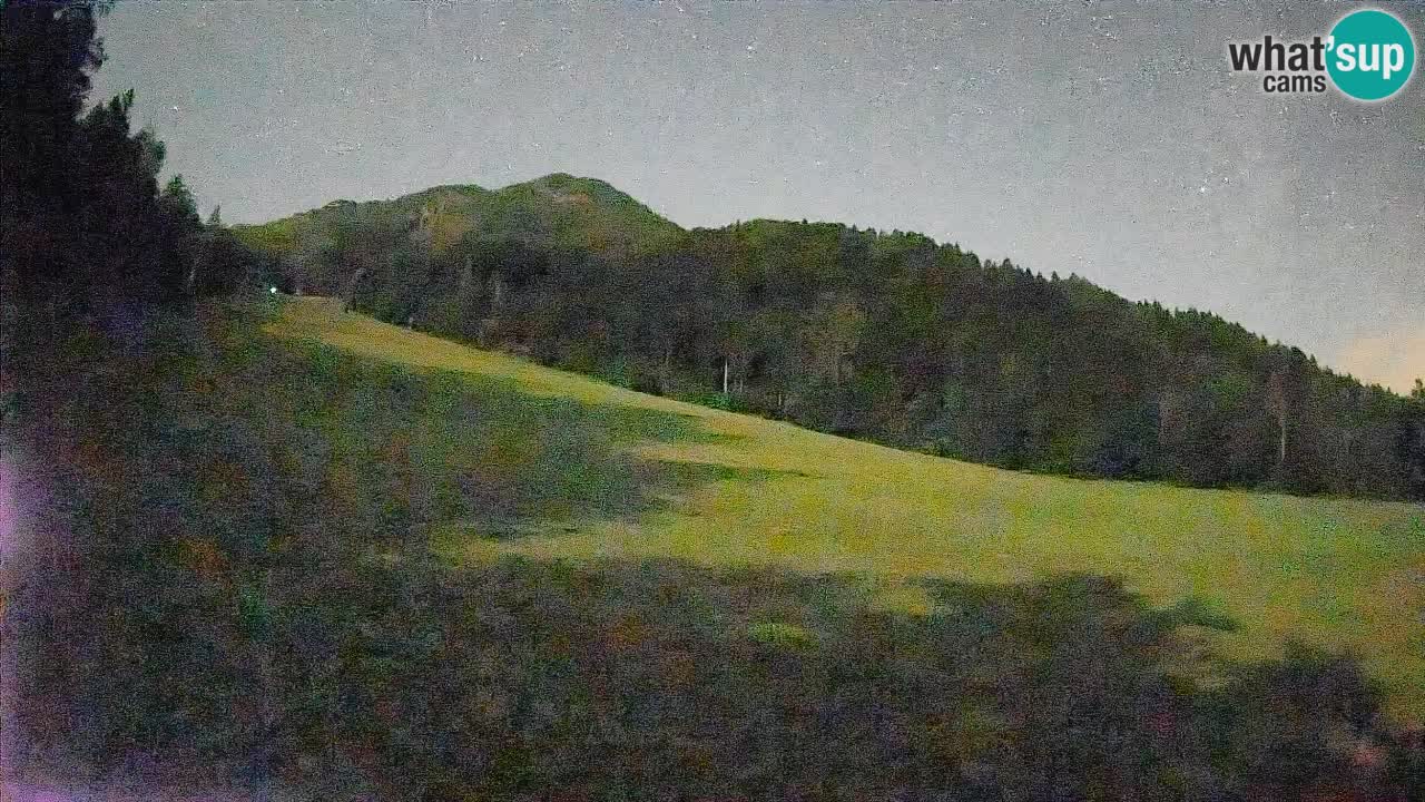 Ski Kranjska Gora | Brsnina