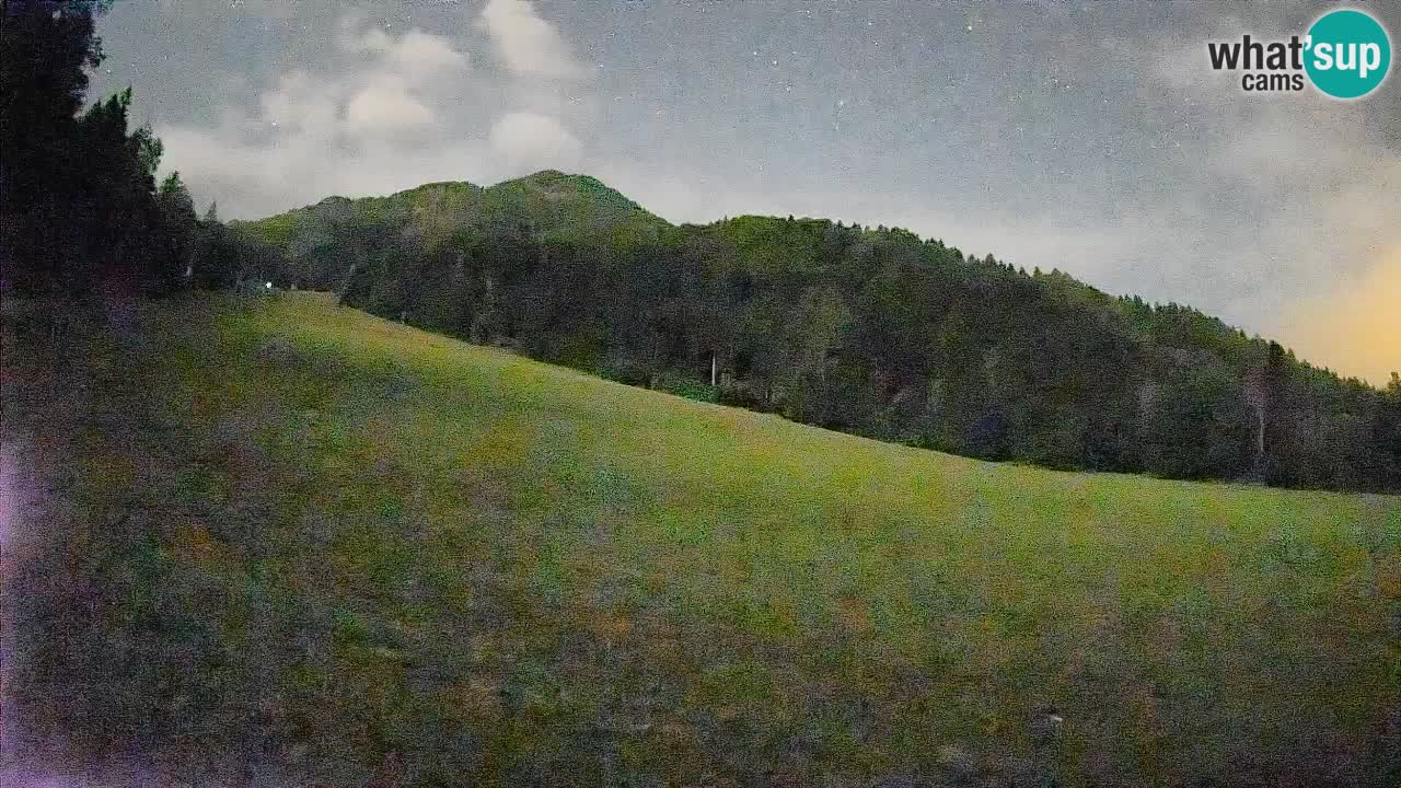 Comprensorio sciistico Kranjska Gora | Brsnina
