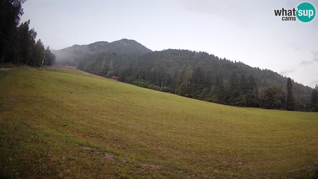 Comprensorio sciistico Kranjska Gora | Brsnina