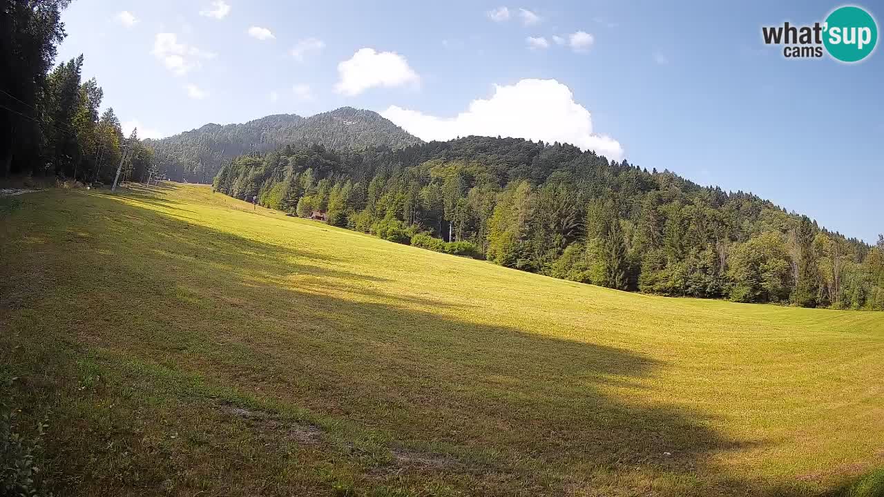 Ski Kranjska Gora | Brsnina