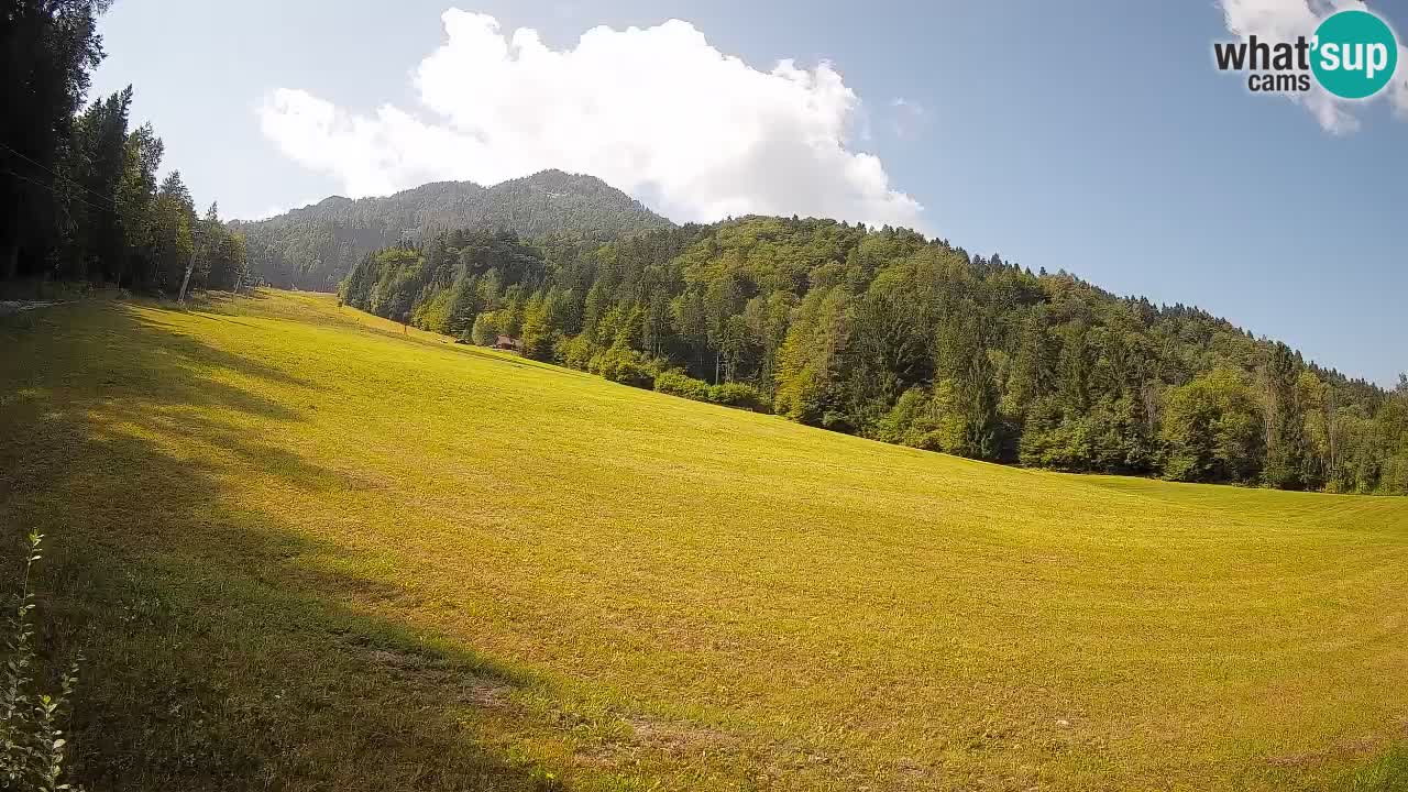 RTC Kranjska Gora | Brsnina